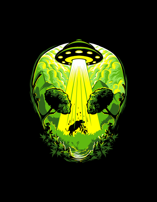 Alien invasion